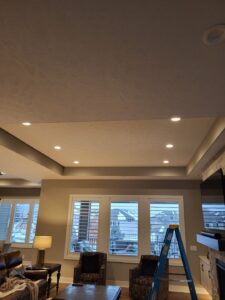 Elegant Living Room Finish Carpentry