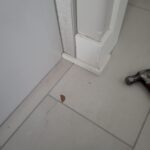 Baseboard, per linear foot