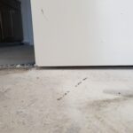 Interior Door, 8'0", hollow core