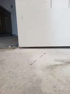White door slab visible above rough unfinished floor transition, cabinets visible in background.