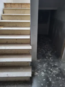 Wood stair treads and risers leading down to an unfinished room.