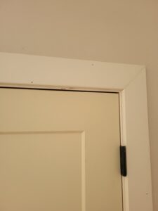 Cased Opening, 8'0"