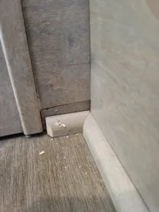 Stained baseboard with a rounded end return near a door jamb, over wood look flooring